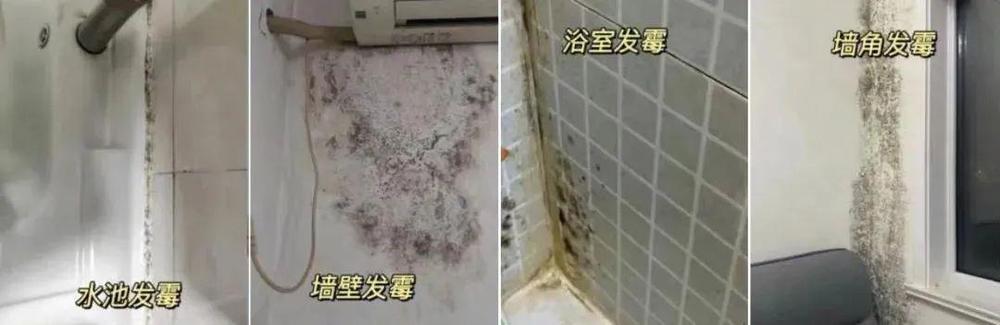 竟致肺部“发霉” 快检查你家可能也有j9九游会(中国)网站女子整理衣柜