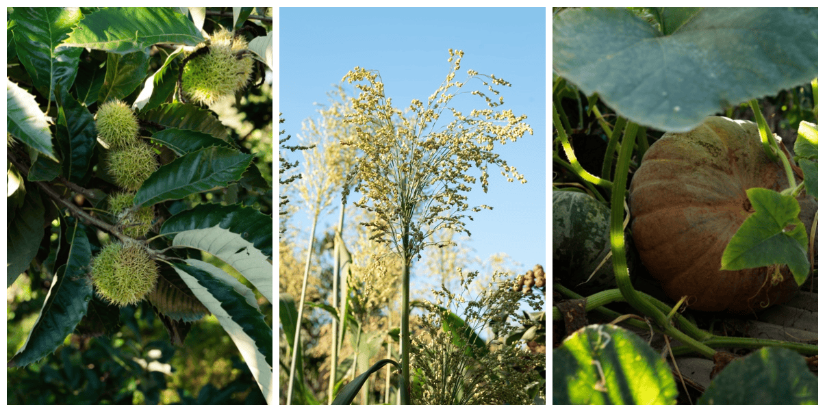 北京山谷构建自然与康养相融合的现代生活九游会J9入口北京人的理想第二居所：(图7)